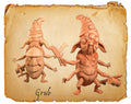 Grub